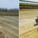 죽암농장 이미지