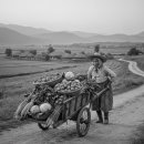 말티가는길 | 말티고개 넘던 어머니의 리어카 ​ 野人 장형갑