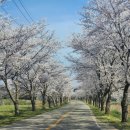 남선 농장 이미지