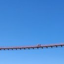 강천산 나비잠 이미지