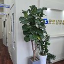 복음보청기 부천점 | 부천 이사 후 찾은 굿모닝보청기 원미센터 꼼꼼한 사후관리 후기