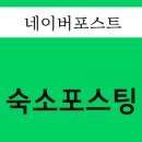 정선 황토 펜션 이미지