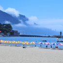 송도해수욕장 이미지