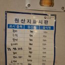 싱싱 | 사상 횟집 맛집 추천 아이싱싱회 콜키지 후기