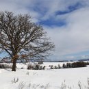 홋카이도 이미지