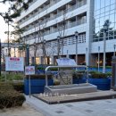 소나무헬스 | 강릉 세인트존스호텔 강아지 산책 코스, 파인타워 소나무 숲ㅣ강문해변ㅣ무료 반려견 놀이터