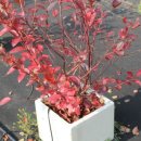 시냇물 농장 이미지