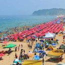 속초해수욕장 이미지