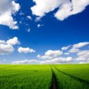 영원여인숙 이미지