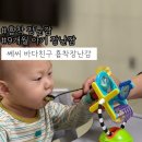 쎄씨 | 8개월9개월아기장난감:: 밥안먹는 아기, 이유식 꿀템 쎄씨바다친구흡착장난감 솔직후기