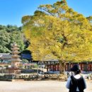 풍암제길 이미지