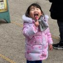 에버마루 | 경기 용인 에버랜드 EVER LAND / 놀이공원, 피크닉에어리어 43개월