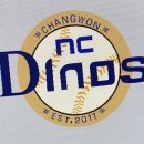 mlb 더 쇼 20에 NC 다이노스 만듦 이미지