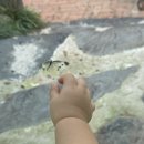 나비부화장 이미지