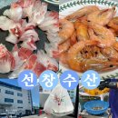 태안로 | 화성 선창수산 대하구이 맛집 대하 전복 회포장 후기