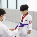 세종태권도장 이미지