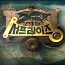 제창농장 티브이데일리