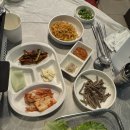 새로나 | [대전식당] 대전 월평동 새로나식당 | 대구식 실막창 &amp; 황치살 솔직 후기 (내돈내산)