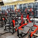 머슬팩토리 이미지