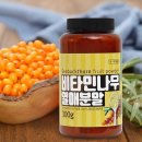 엔에스유