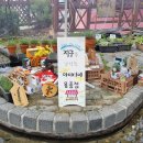 일영 이미지