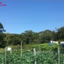 인천광역시 강화군 길상면사무소 이미지