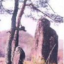 소로2리 이미지