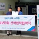 주식회사 펫콤 이미지