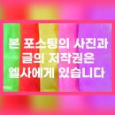 정독도서관 | 정독도서관-주차안내, 능소화 멋집,방문후기/북촌 능소화 스팟 정리