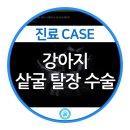 행복동물의료센터 이미지