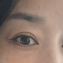 세인뷰티속눈썹&눈썹