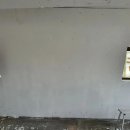 레슬링코리아 안산본관 팀안산 이미지