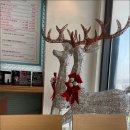 연세로즈엘의원 이미지