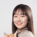 서울고양이미용실 이미지