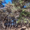 범어사로 이미지