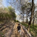 아산시청소년문화의집 | 천안 아산 배방 지산공원 후기｜벚꽃 산책 + 유아숲 체험원까지 아이랑 가기 최고
