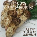 경북약업사 이미지