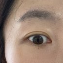 일이일이룸 | 속눈썹펌 서구 화정동 상무지구, 쌍촌동 근처 '브로우이룸'에서 바쁜 워킹맘 아침 시간 20분 단축한 후기!