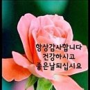 행복꽃 이미지