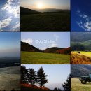 코리안목장 이미지