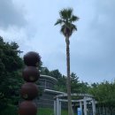 효돈주유소 이미지