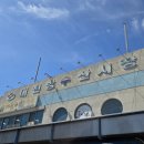 신선수산 | 보령 대천항 수산시장 맛집 녹도수산 신선했던 광어회와 갑오징어 후기