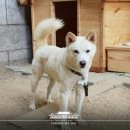 송강마루