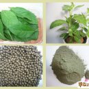 삼봉초교 이미지