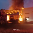 세종사료 백제뉴스