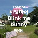 치앙마이 귀여운 동물들이 많은 카페 Blink me bunny Cafe&amp;Bistro