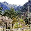 꽃뜰펜션 이미지