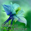 원함 이미지