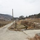 내동산 도는길 이미지