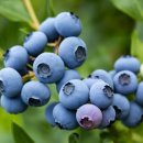 원투HIT복싱 이미지